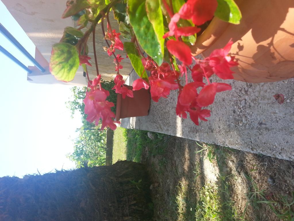 Feakes Apartments Arillas  Dış mekan fotoğraf