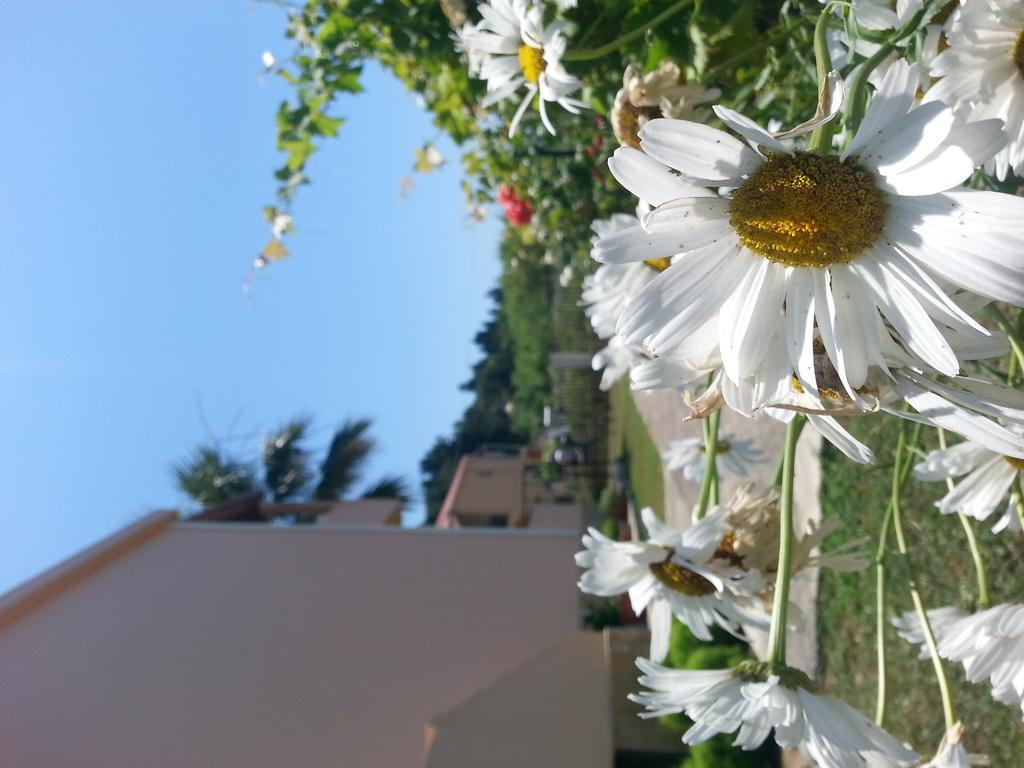 Feakes Apartments Arillas  Dış mekan fotoğraf