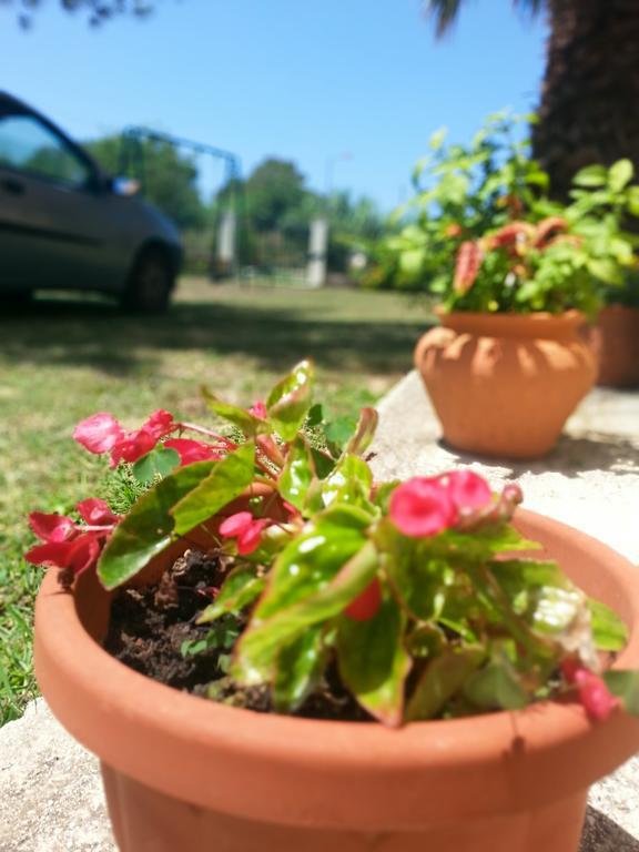 Feakes Apartments Arillas  Dış mekan fotoğraf